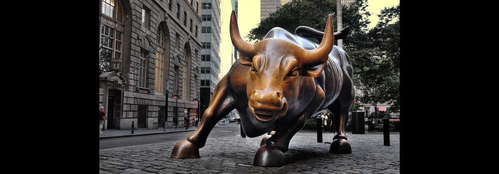 Charging Bull